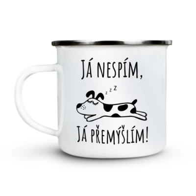 Ahome Plecháček Já nespím, já přemýšlím
