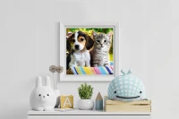 Malatec Diamantové maľovanie - pes a mačka