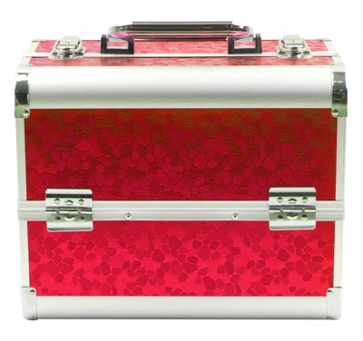 APT CA4D Kufřík kosmetický 30,5x20,5x25 cm červený