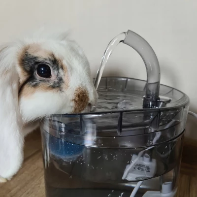 Purlov 20700 Fontána pro domácí mazlíčky 2000 ml