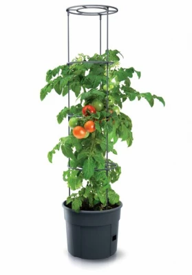 Kvetináč na pestovanie paradajok TOMATO GROWER antracit 29,5 cm (max. výška: 115,2 cm)
