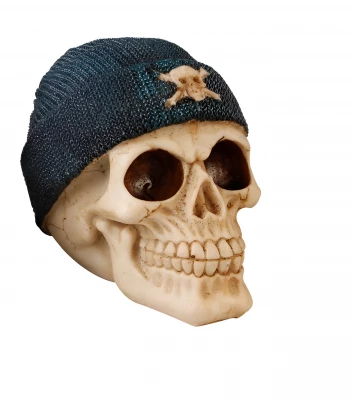 Lex Pokladnička lebka s pirátskou čepicí