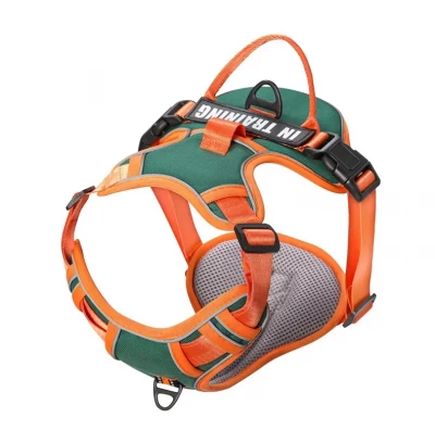 Nuxie 2510 Postroj pro psa vel. XL oranžovozelená