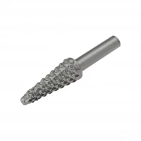 Vergionic 2341 Rotační pilníky na broušení dřeva 5 ks