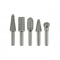 Vergionic 2341 Rotační pilníky na broušení dřeva 5 ks