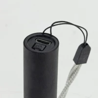 Vergionic 7181 Vreckové svietidlo SMD LED, 100lm, 1450mAh, 6500K