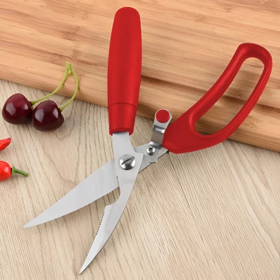 Vergionic 5002 Kuchyňské nůžky 24 cm