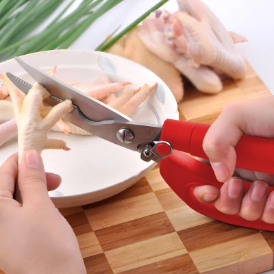 Vergionic 5002 Kuchyňské nůžky 24 cm