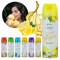Vergionic 0365 Osvěžovač vzduchu, 480 ml citron