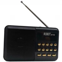 Pronett XJ5097 Mini kapesní rádio USB černé