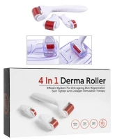 Gordon G65 Derma váleček mezoterapie 4 v 1