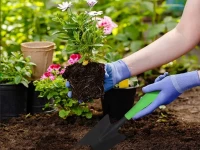 Verk 11424 Zahradní lopatka 32 cm černozelená