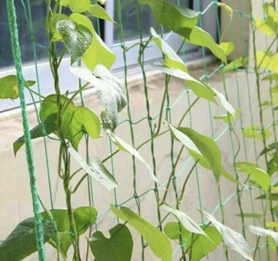 Gardlov 23978 Sieť na popínavé rastliny 2 x 10 m