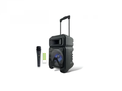 GGV 1231 Bluetooth reproduktor, LED podsvietenie, mikrofón, diaľkové ovládanie, 30 W + 10 W, čierna