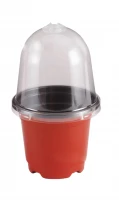 Pronett XJ5334 Mini plastový skleník 15 cm, 5 ks