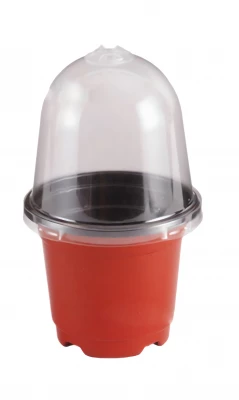 Pronett XJ5334 Mini plastový skleník 15 cm, 5 ks