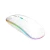 Verk 06294 Bezdrôtová optická myš LED RGB biela