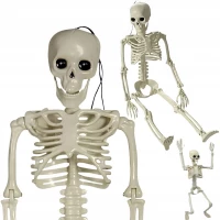 Verk 26132 Lidská kostra dekorace na Halloween 40 cm 