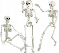 Verk 26132 Lidská kostra dekorace na Halloween 40 cm 