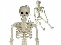 Verk 26132 Lidská kostra dekorace na Halloween 40 cm 