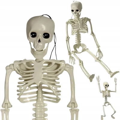 Verk 26132 Lidská kostra dekorace na Halloween 40 cm 