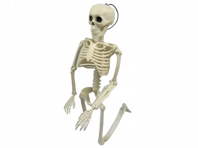 Verk 26132 Lidská kostra dekorace na Halloween 40 cm 