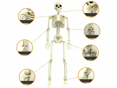 Verk 26132 Lidská kostra dekorace na Halloween 40 cm 
