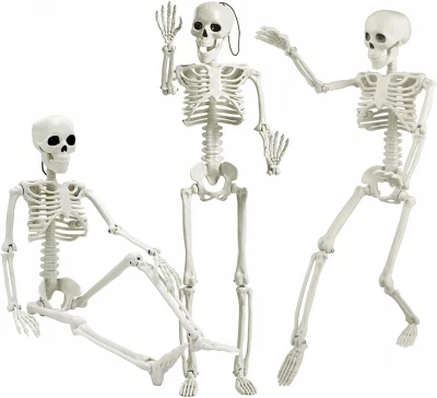 Verk 26132 Lidská kostra dekorace na Halloween 40 cm 
