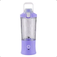 Verk 07296 Láhev se Smoothie mixérem LED RGB, 600 ml fialová