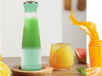 Verk 07304 Přenosný smoothie mixér 400 ml zelený