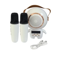Verk 27312 Karaoke Bluetooth reproduktor 5 W, 2x bezdrátový mikrofon, bílý