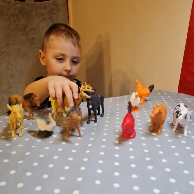 Kruzzel 24854 Sada hospodářských zvířat 12 ks