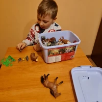 Kruzzel 24816 Sada figurek Zvířata v ZOO 48 ks v boxu