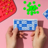 ISO 25006 Stolní rodinná hra Bingo