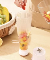 Verk 07304 Přenosný smoothie mixér 400 ml fialový