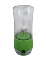 Verk 07267 Přenosný smoothie mixér 380 ml zelený