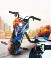 Gordon G810 Driftovacia elektrická trojkolka, LED, 100 kg, 250 W, 15 km/h
