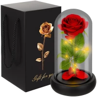 Ruhhy 25682 LED ruža v sklenenej váze