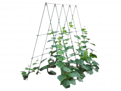 Pronett XJ5699 Podpěra na rostliny 120cm, zelená