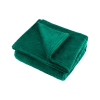 Teesa TSA8902 Deka Microplush 200x220 cm, zelená