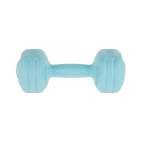Rebel RBA-2307 Fitness činky jednoručky 2 x 2 kg, světle modré 