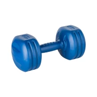 Rebel RBA-2309 Fitness činky jednoručky 2 x 4 kg, modré