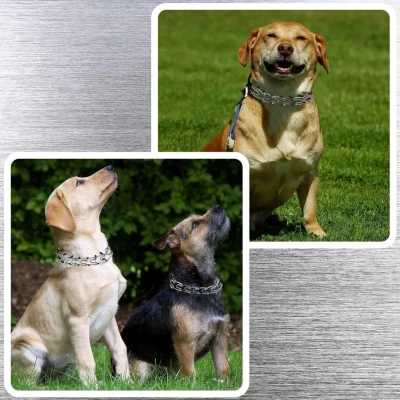 Nuxie 2933 Výcvikový obojek kovový ostnatý 50-60 cm, XXL