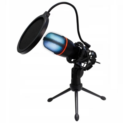 Verk 27597 Studiový mikrofon pro PC se stativem 