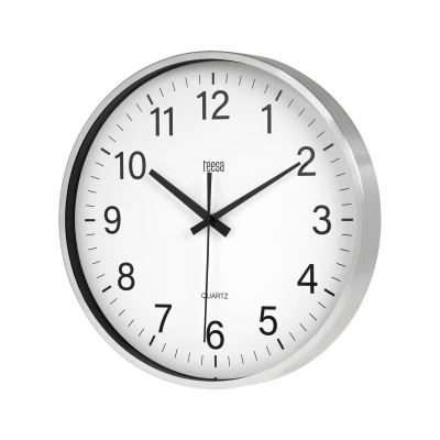 Teesa TSA0036 Nástěnné hodiny 30 cm, stříbrná