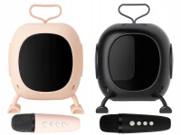 Verk 27500 Karaoke Bluetooth reproduktor RGB s bezdrátovým mikrofonem, černý