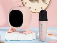 Verk 27500 Karaoke Bluetooth reproduktor RGB s bezdrátovým mikrofonem, černý