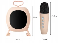 Verk 27500 Karaoke Bluetooth reproduktor RGB s bezdrátovým mikrofonem, černý