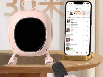 Verk 27500 Karaoke Bluetooth reproduktor RGB s bezdrátovým mikrofonem, černý
