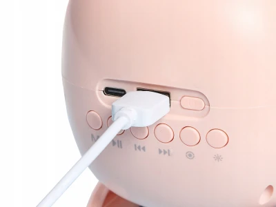 Verk 27500 Karaoke Bluetooth reproduktor RGB s bezdrátovým mikrofonem, černý